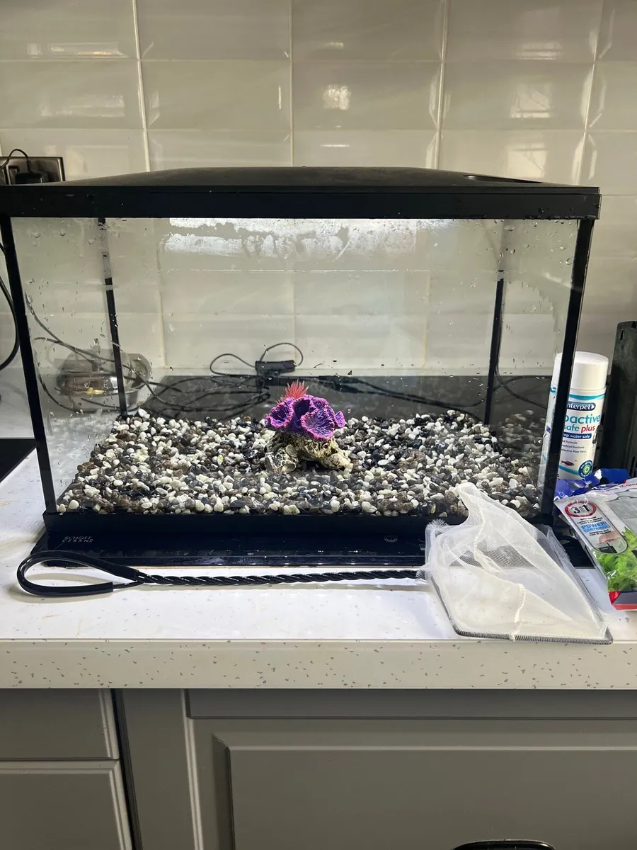 Fish tank and acces - Image 1