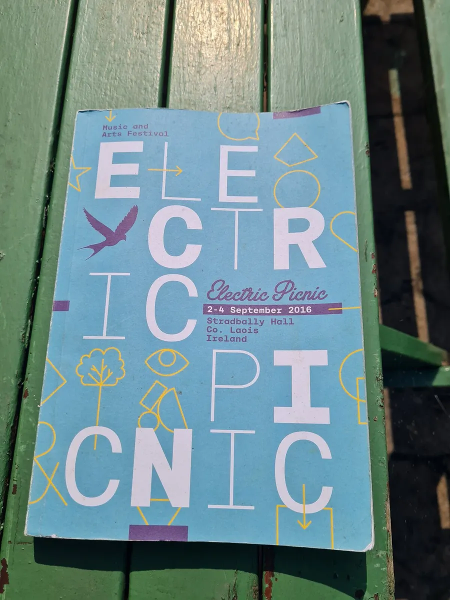 Book Electric Picnic - Image 1