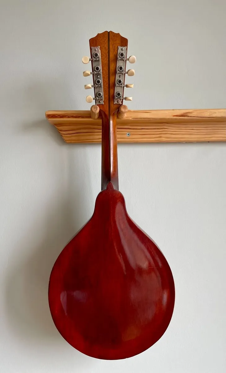Gibson A.1 Mandolin - Image 2
