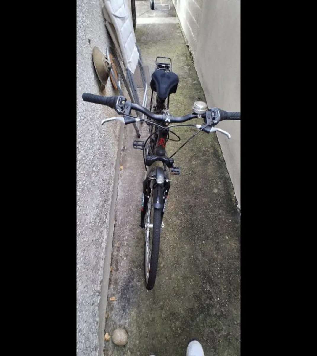 Adult Bike