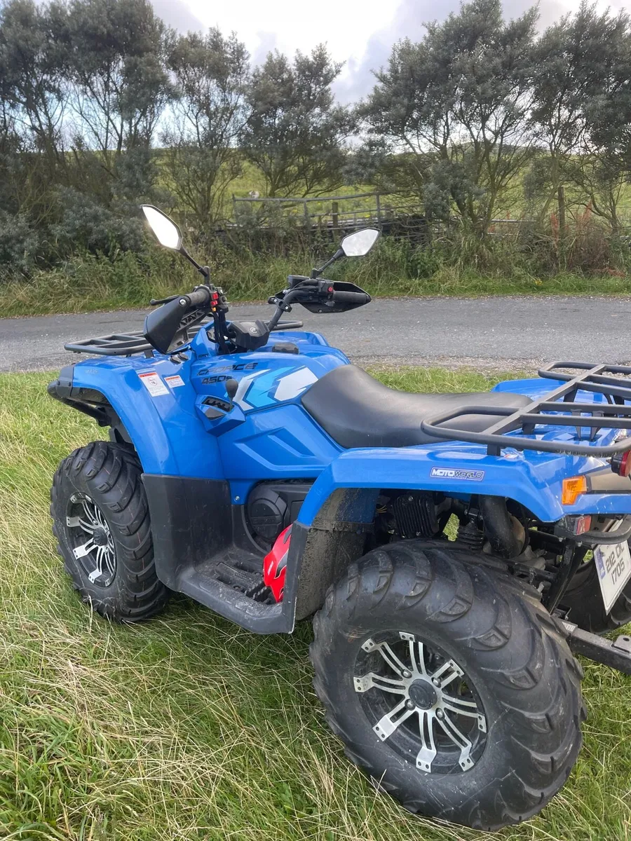 Quad Bike - Image 2