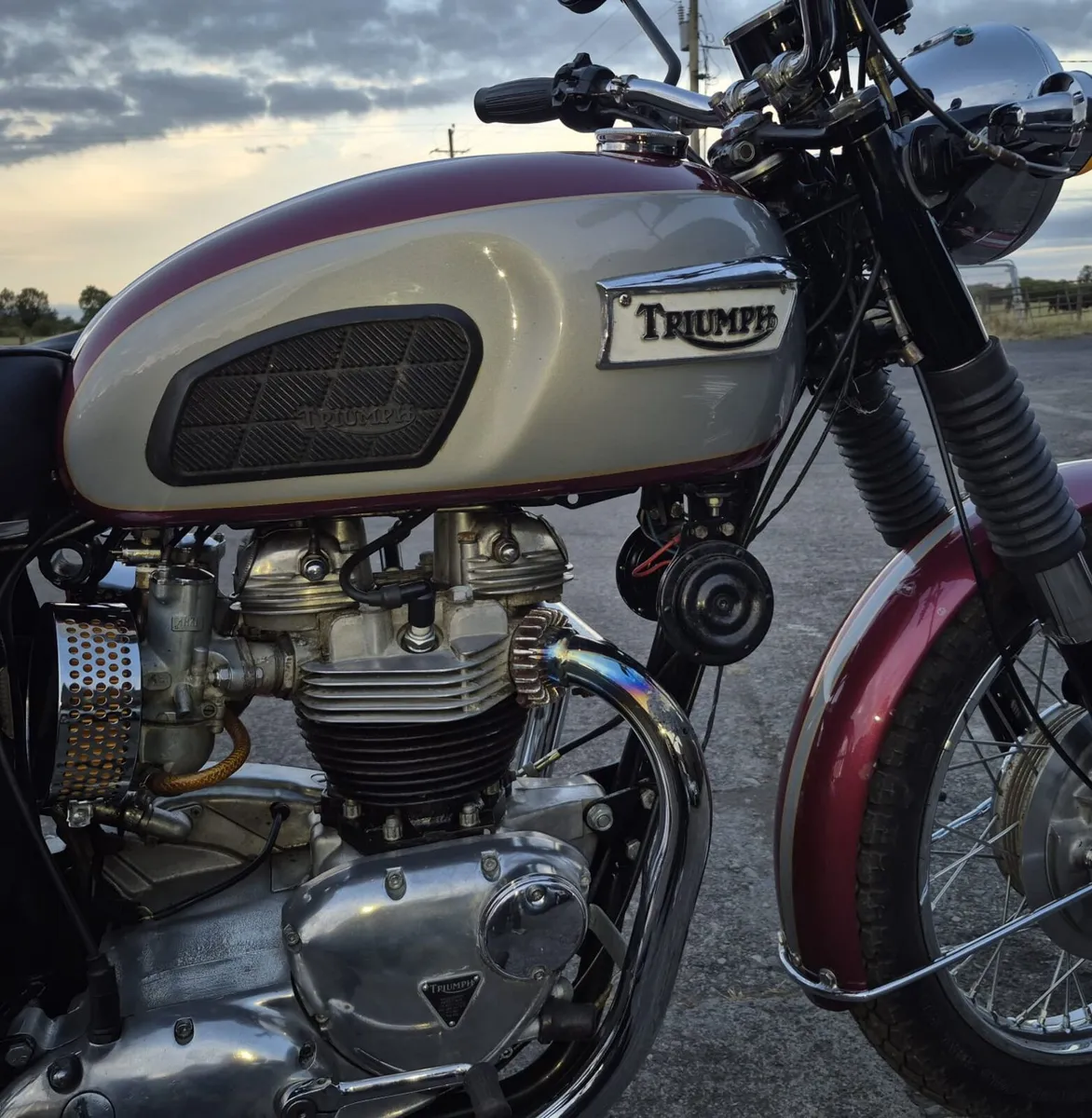 Triumph bonneville - Image 3