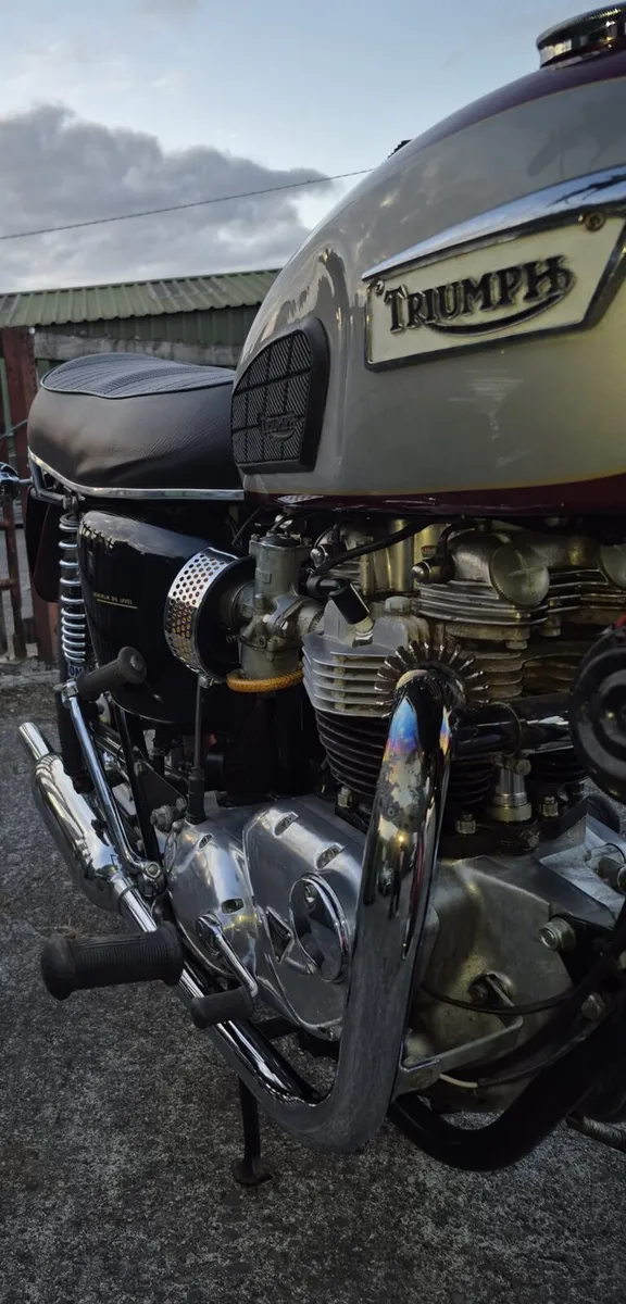 Triumph bonneville - Image 4