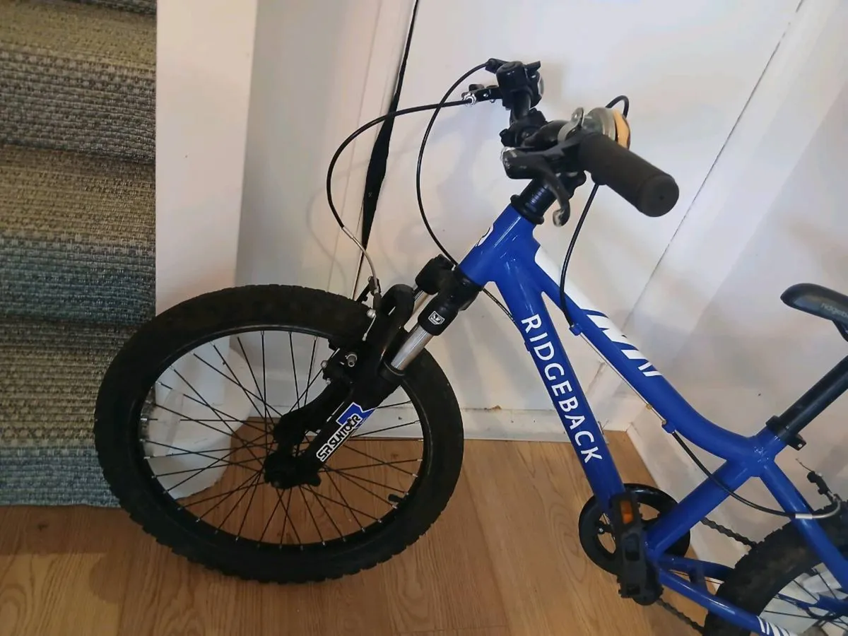 Ridge Back Mx20 Kids bike - Image 3