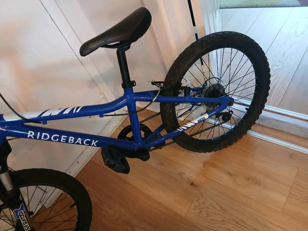 Ridge Back Mx20 Kids bike - Image 4