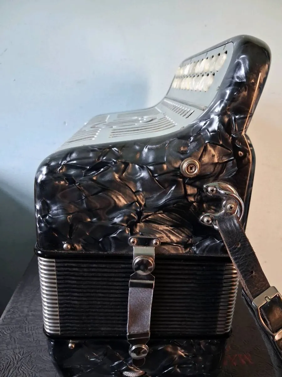 Accordion - Image 3