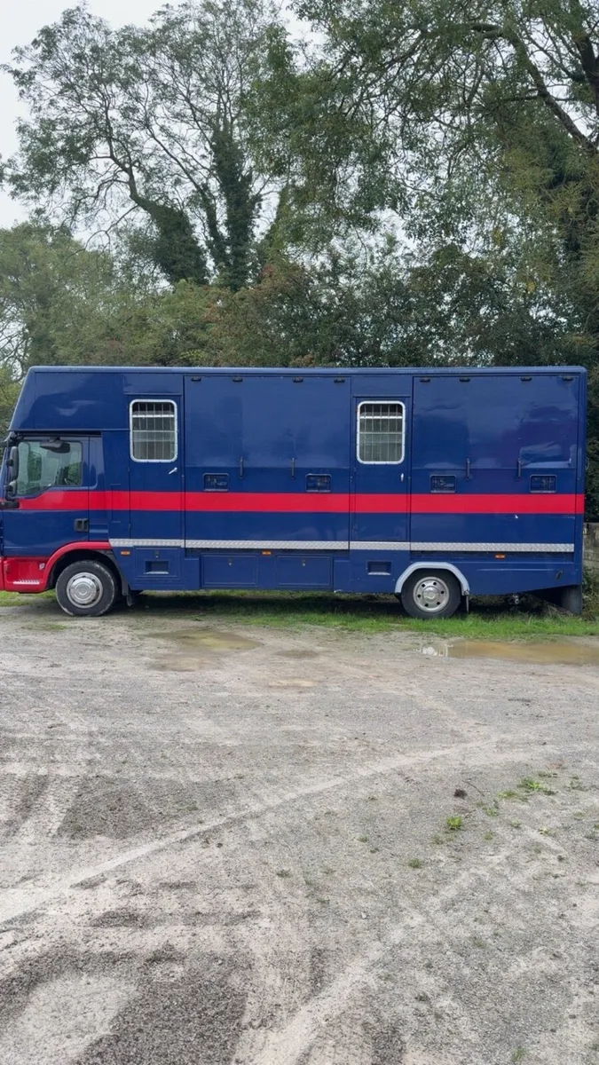 2013 MAN horsebox - Image 2
