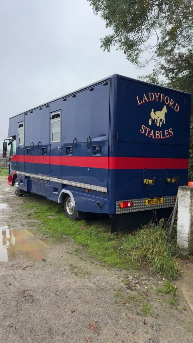 2013 MAN horsebox - Image 3