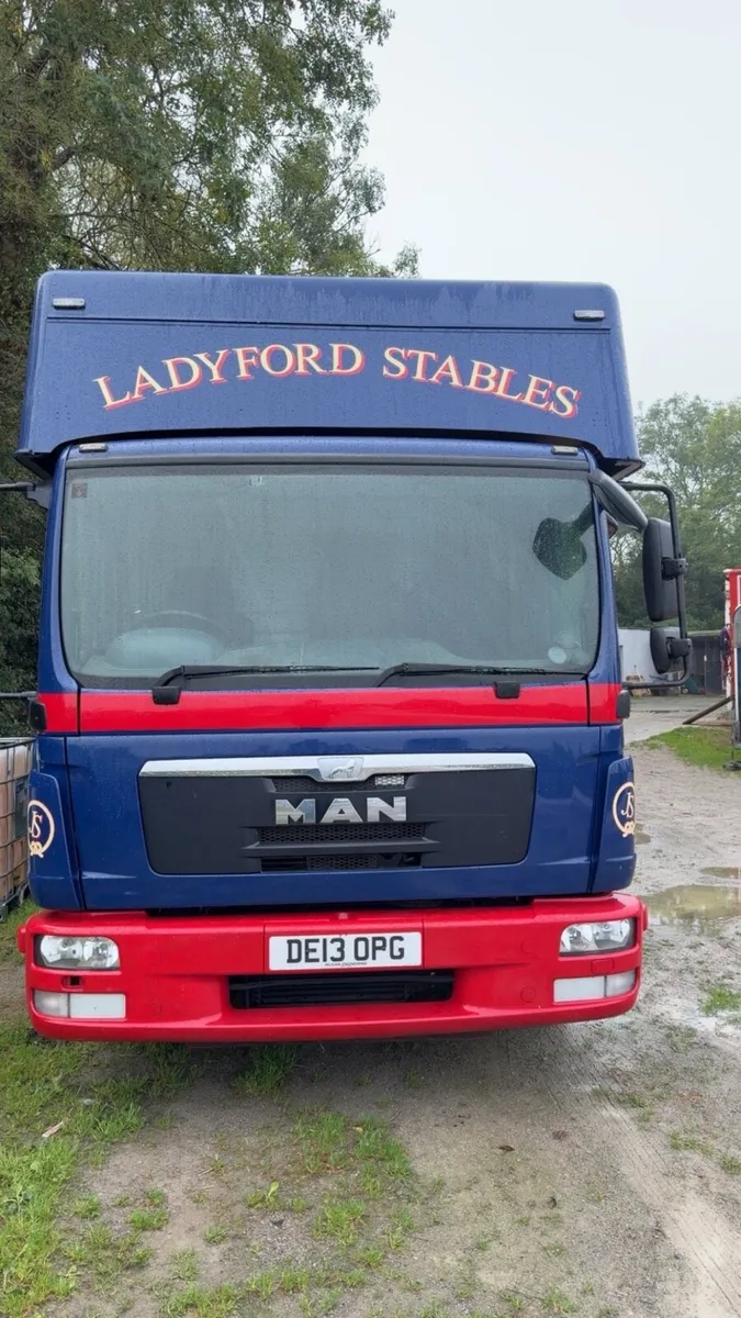 2013 MAN horsebox - Image 1
