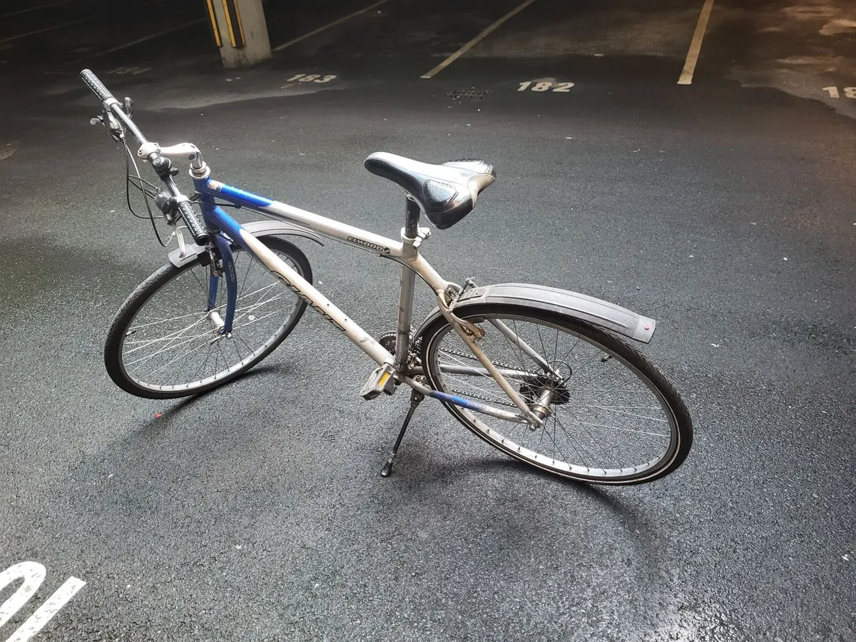 Giant Mens Bicycle - Image 2