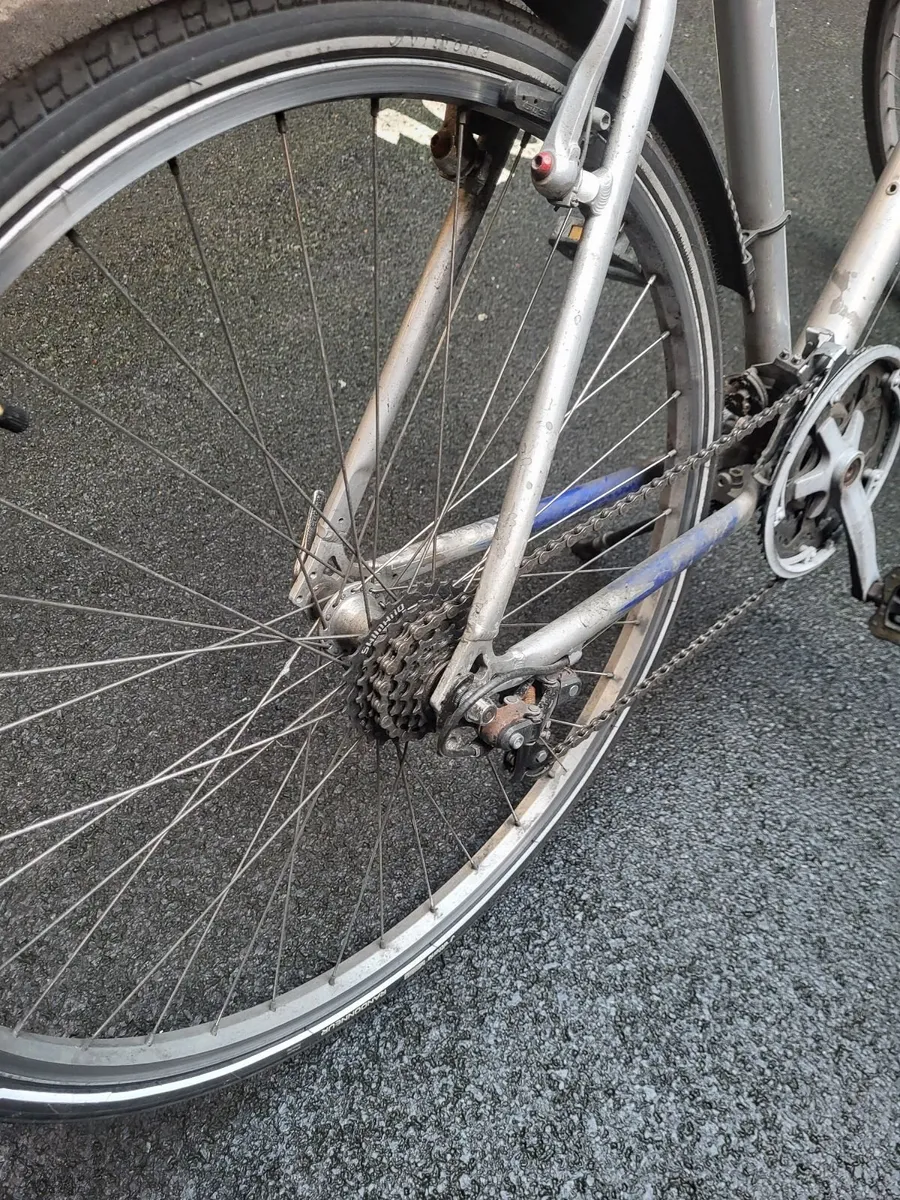 Giant Mens Bicycle - Image 3
