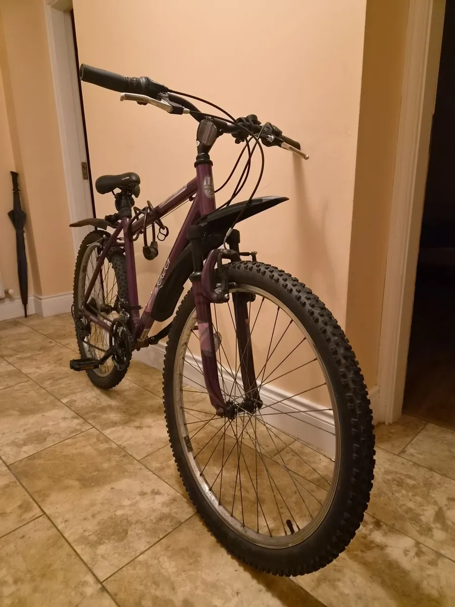 Bike - Image 1