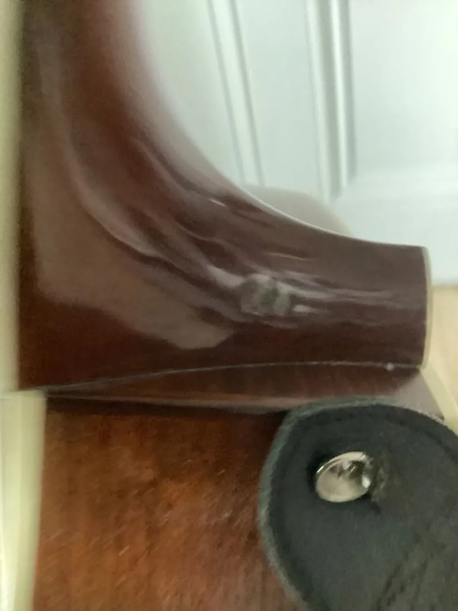 Taylor Guitar - Image 2