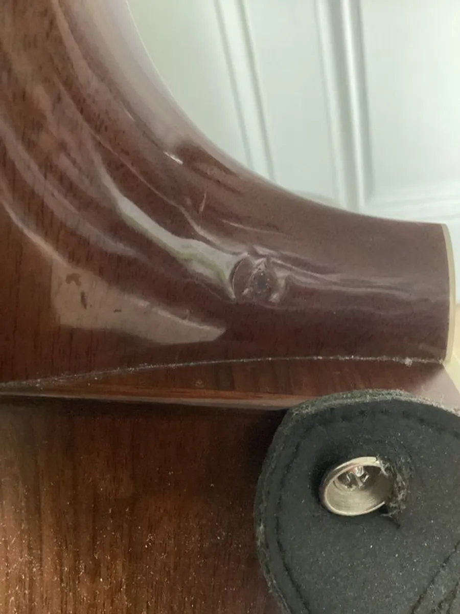 Taylor Guitar - Image 3