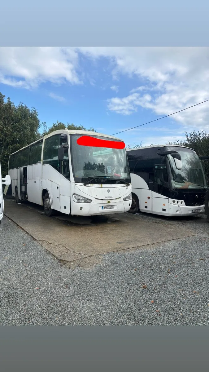 Buses