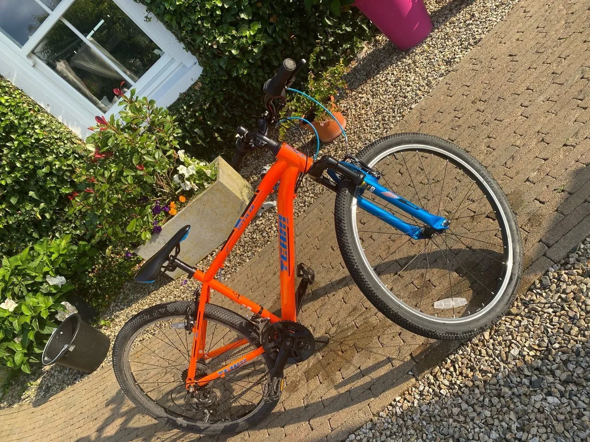 Team bike - Image 1