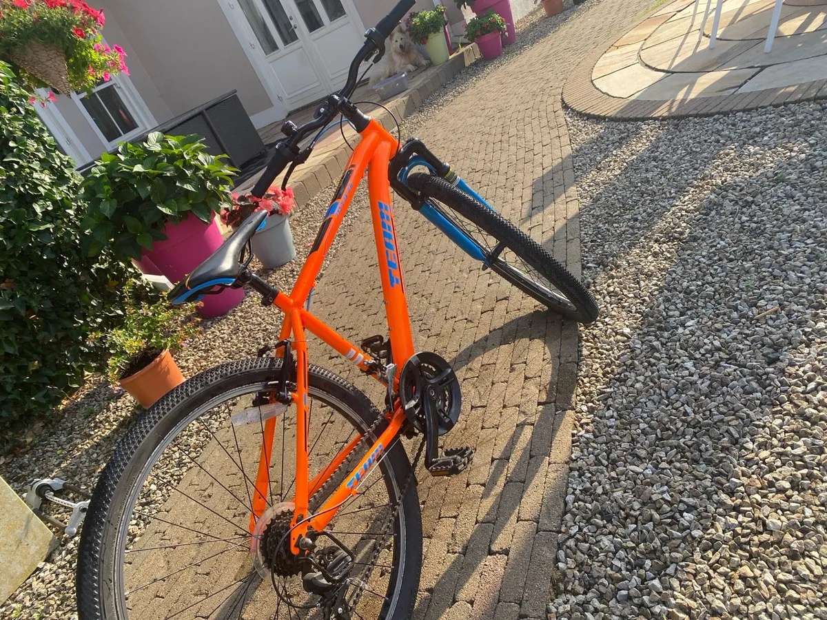 Team bike - Image 3
