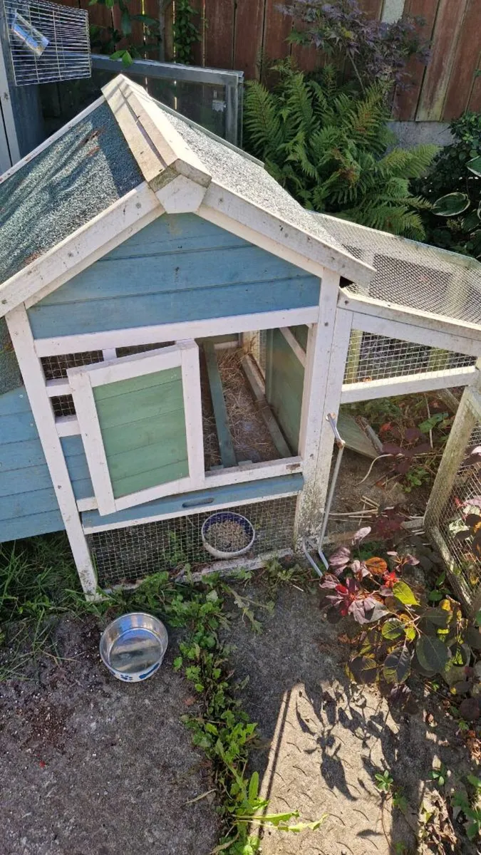 Chicken coup plus treadle feeder - Image 1