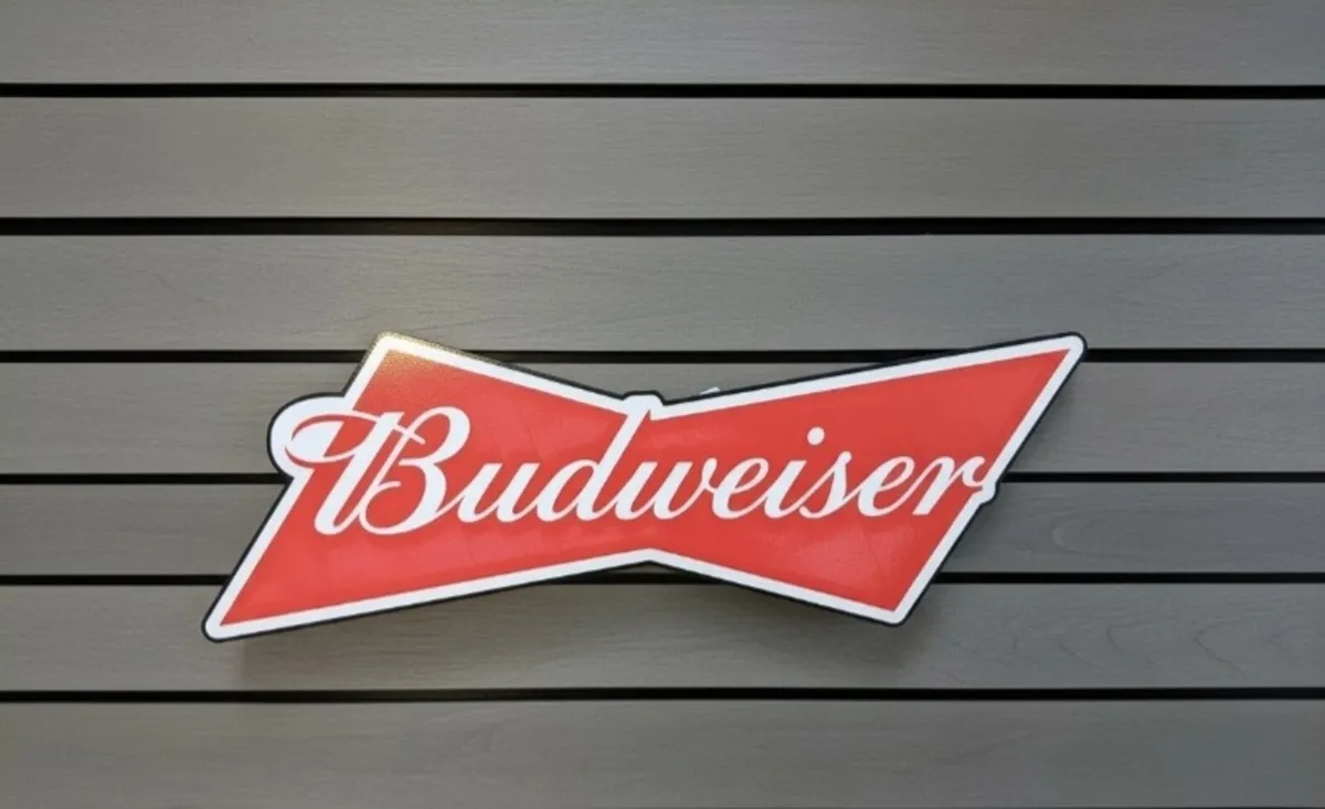 Budweiser illuminated Led Sign Bar Pub Party - Image 2