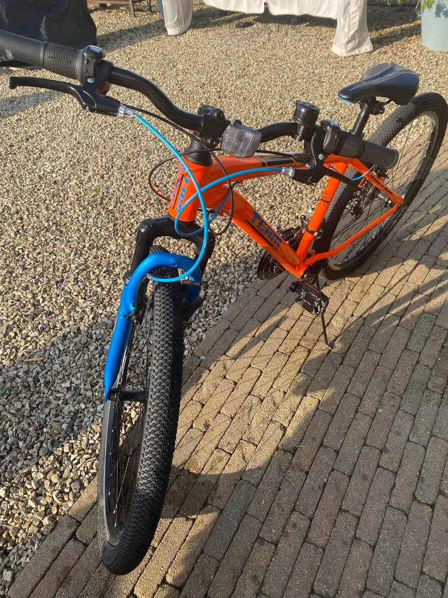 Team bike - Image 4