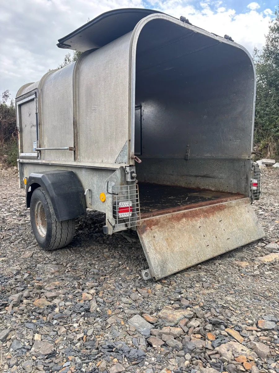 Ifor Williams P7e calf/sheep/dog trailer - Image 3