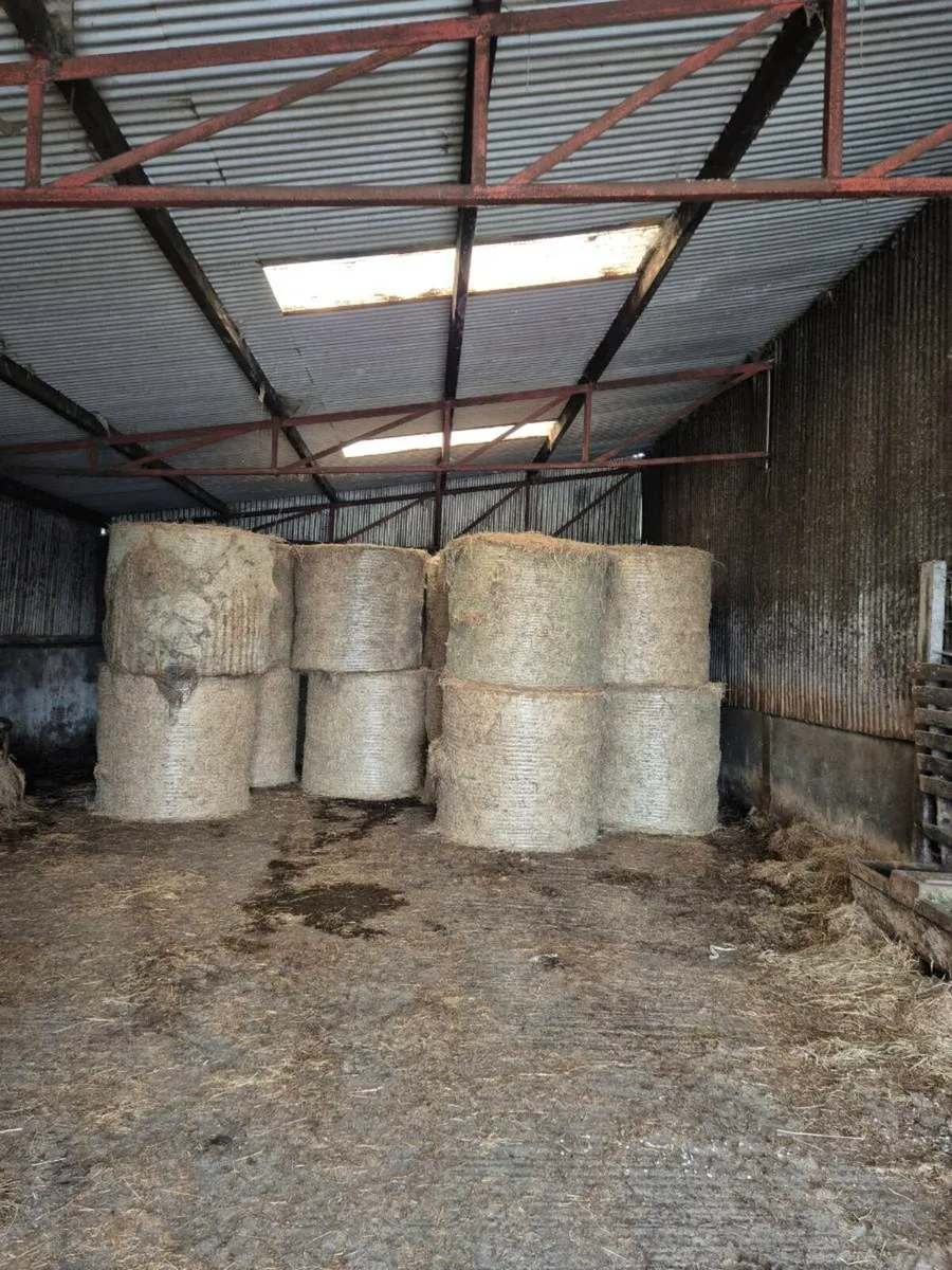 Hay - Image 1