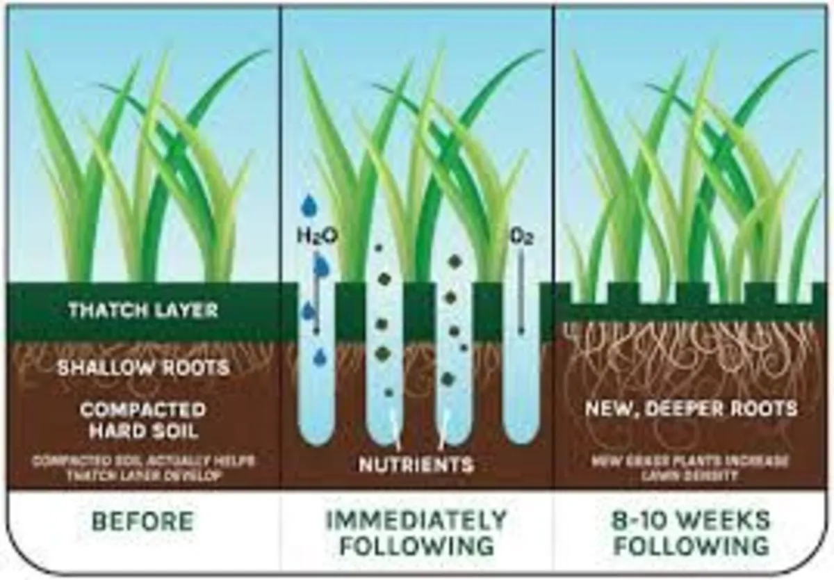 AERATION - Relieve Compaction in your Soil - Image 3
