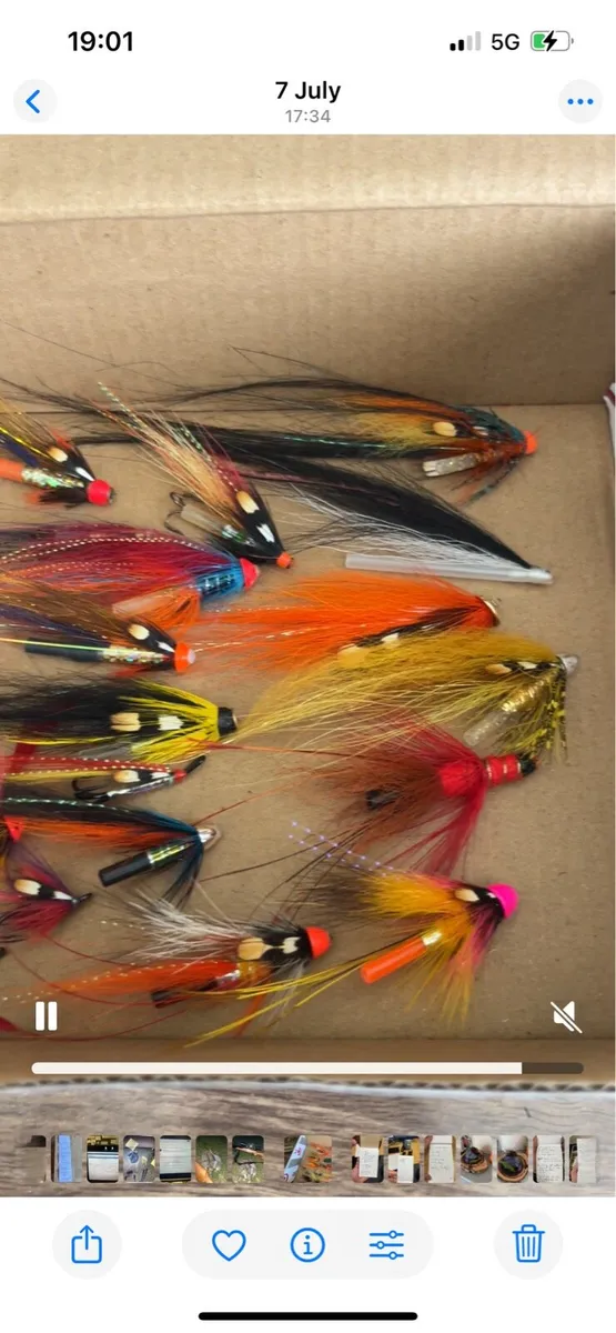 Salmon Flys - Image 1