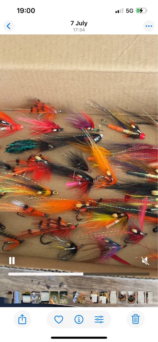 Salmon Flys - Image 2