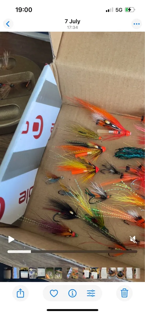 Salmon Flys - Image 3