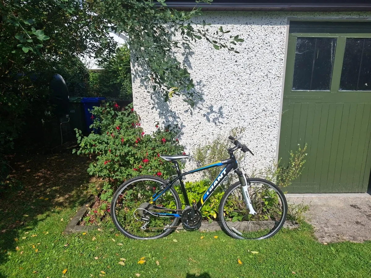Adult GIANT Bike - Image 1