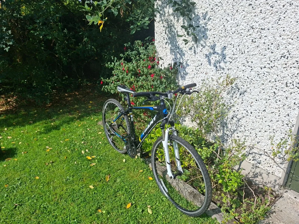 Adult GIANT Bike - Image 3