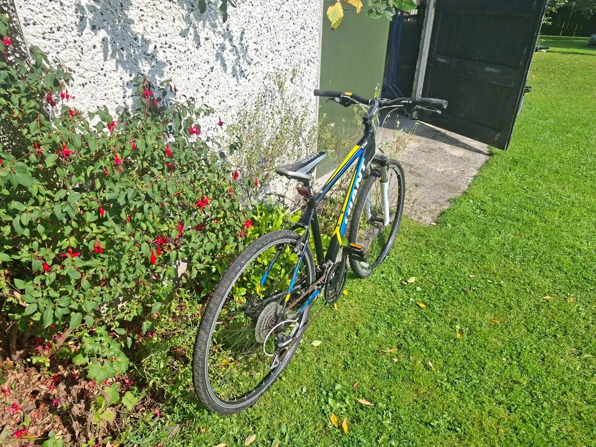 Adult GIANT Bike - Image 2