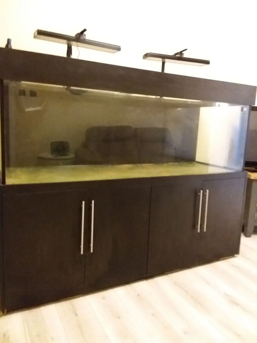 800l aquarium - Image 4