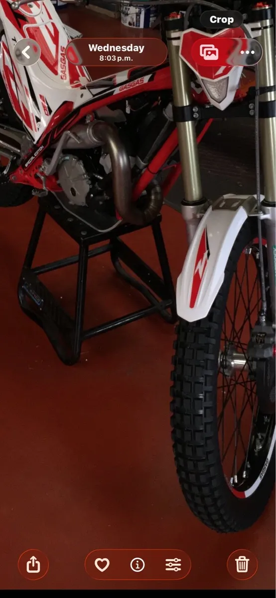 Gas gas trials bike - Image 1