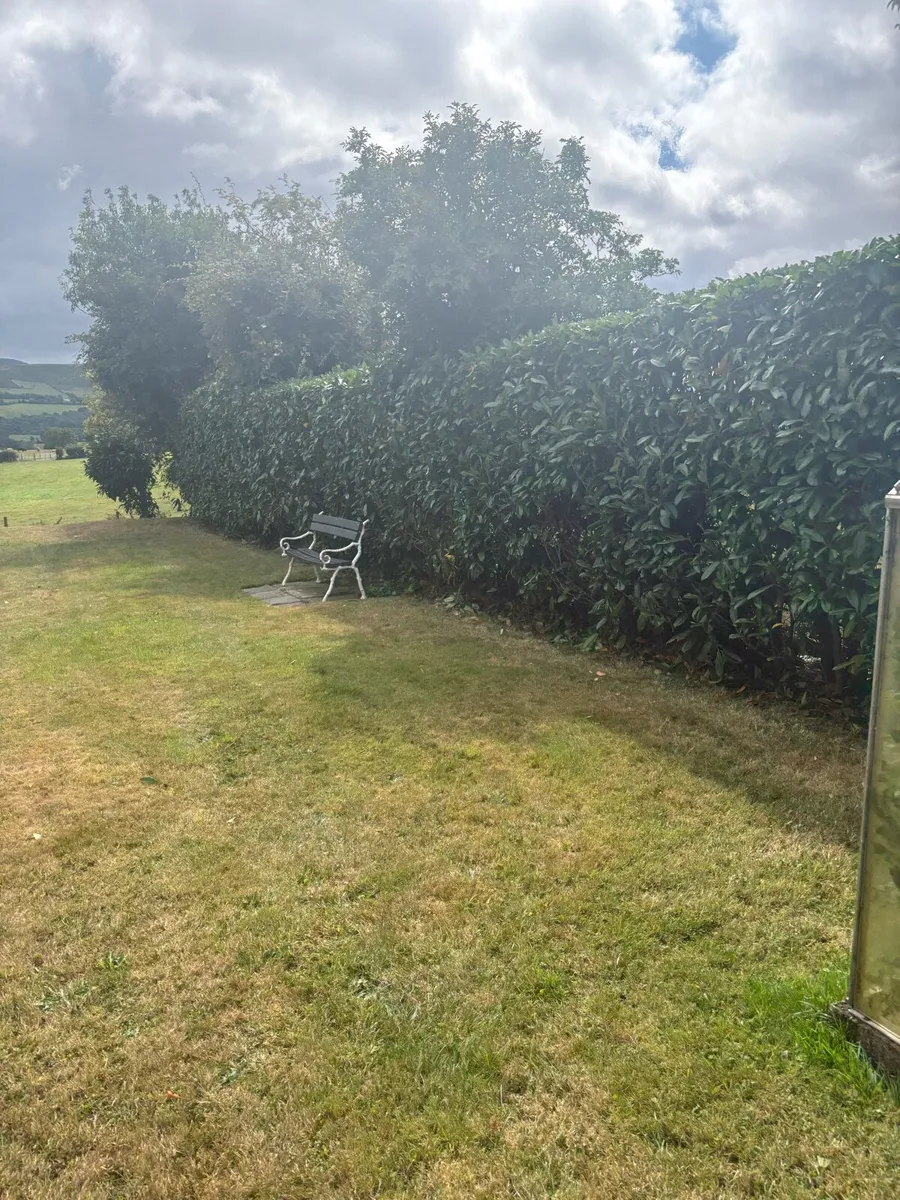 Hedge cutting services - Image 3