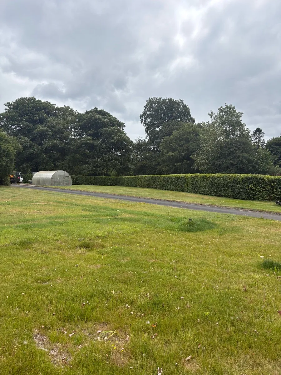 Hedge cutting services - Image 4