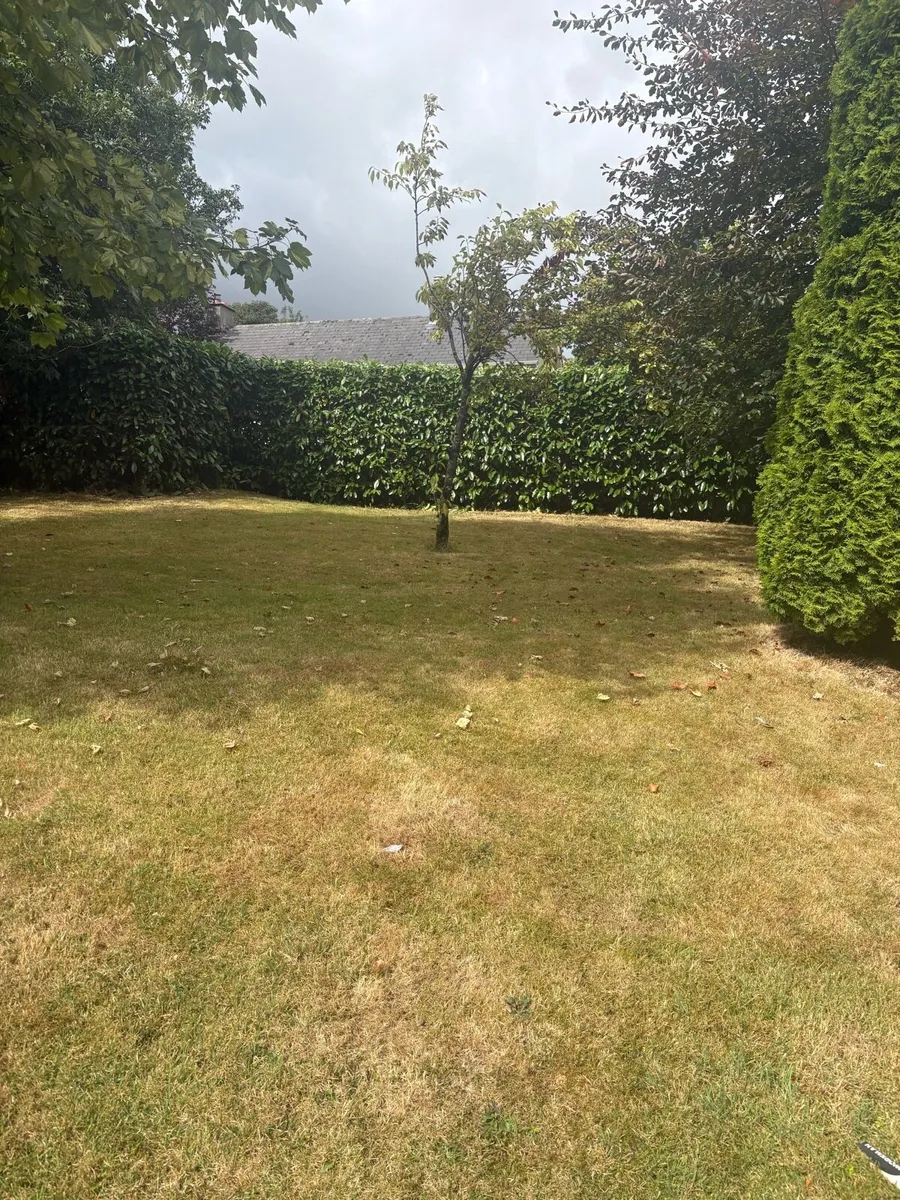Hedge cutting services - Image 1