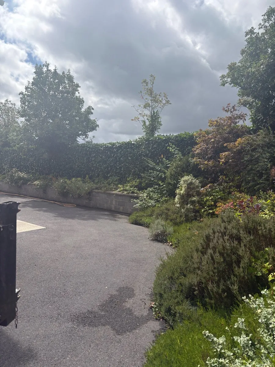 Hedge cutting services - Image 2