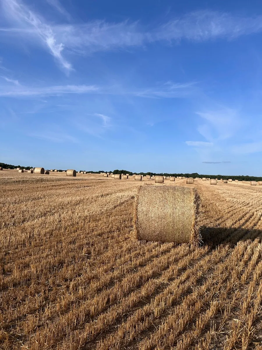 4 x 4 Wheat Straw