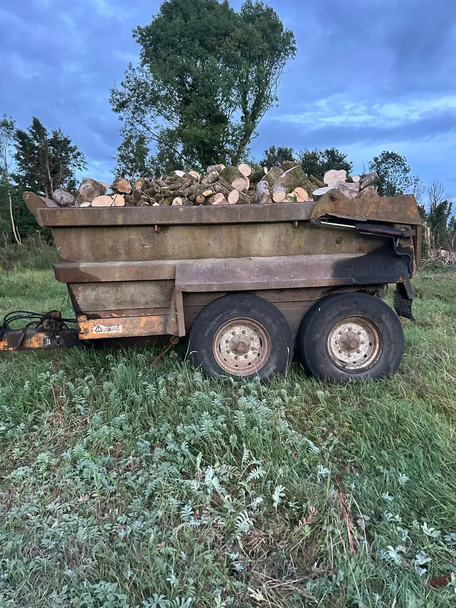 Timber - Image 1