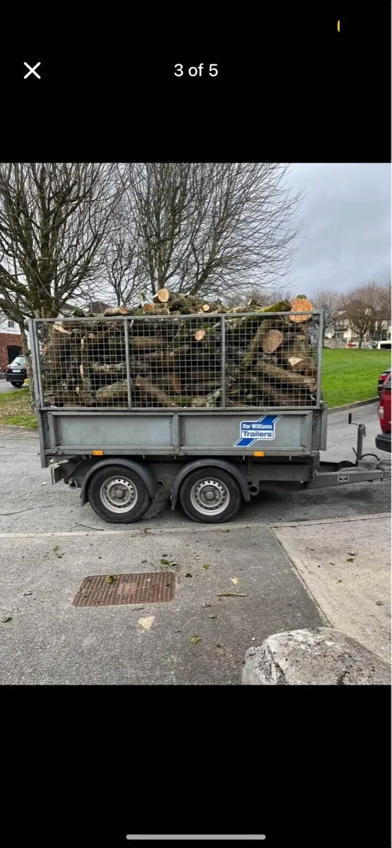 Timber - Image 3