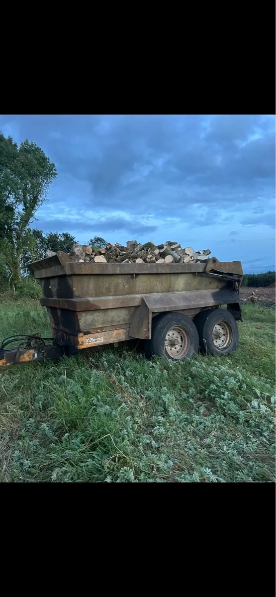 Timber - Image 1