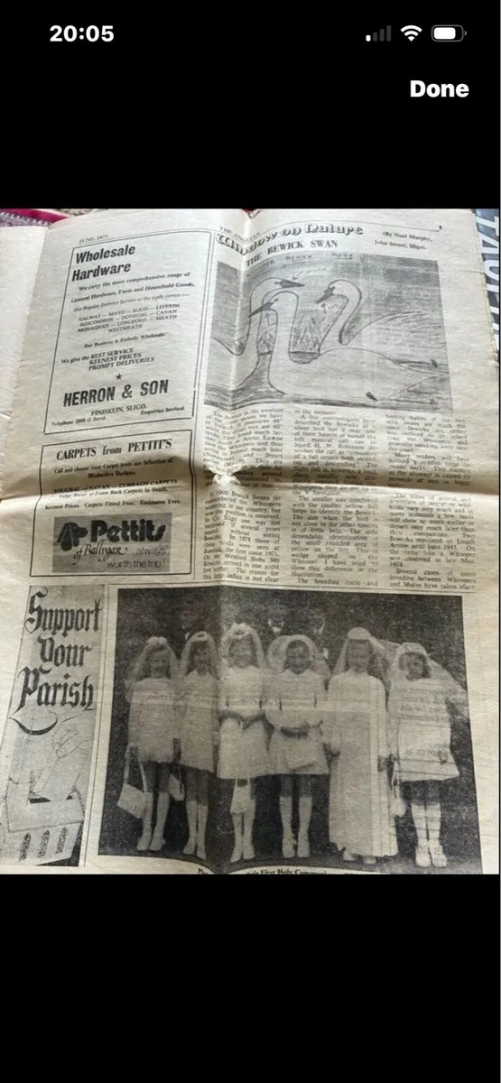 Sligo Angelus 1975 - Image 4