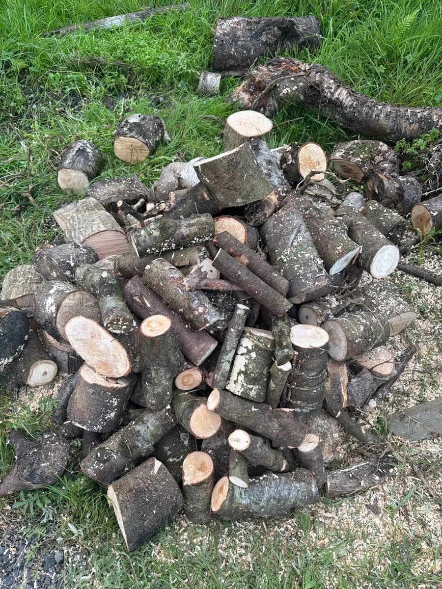 Firewood