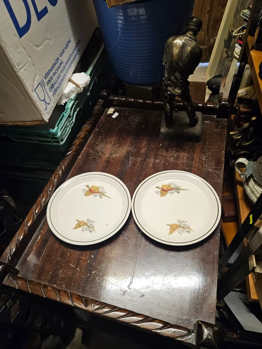 Vintage Arklow Pottery Plates - Image 1