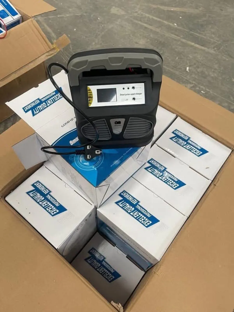 Battery charger 12-24v - Image 1