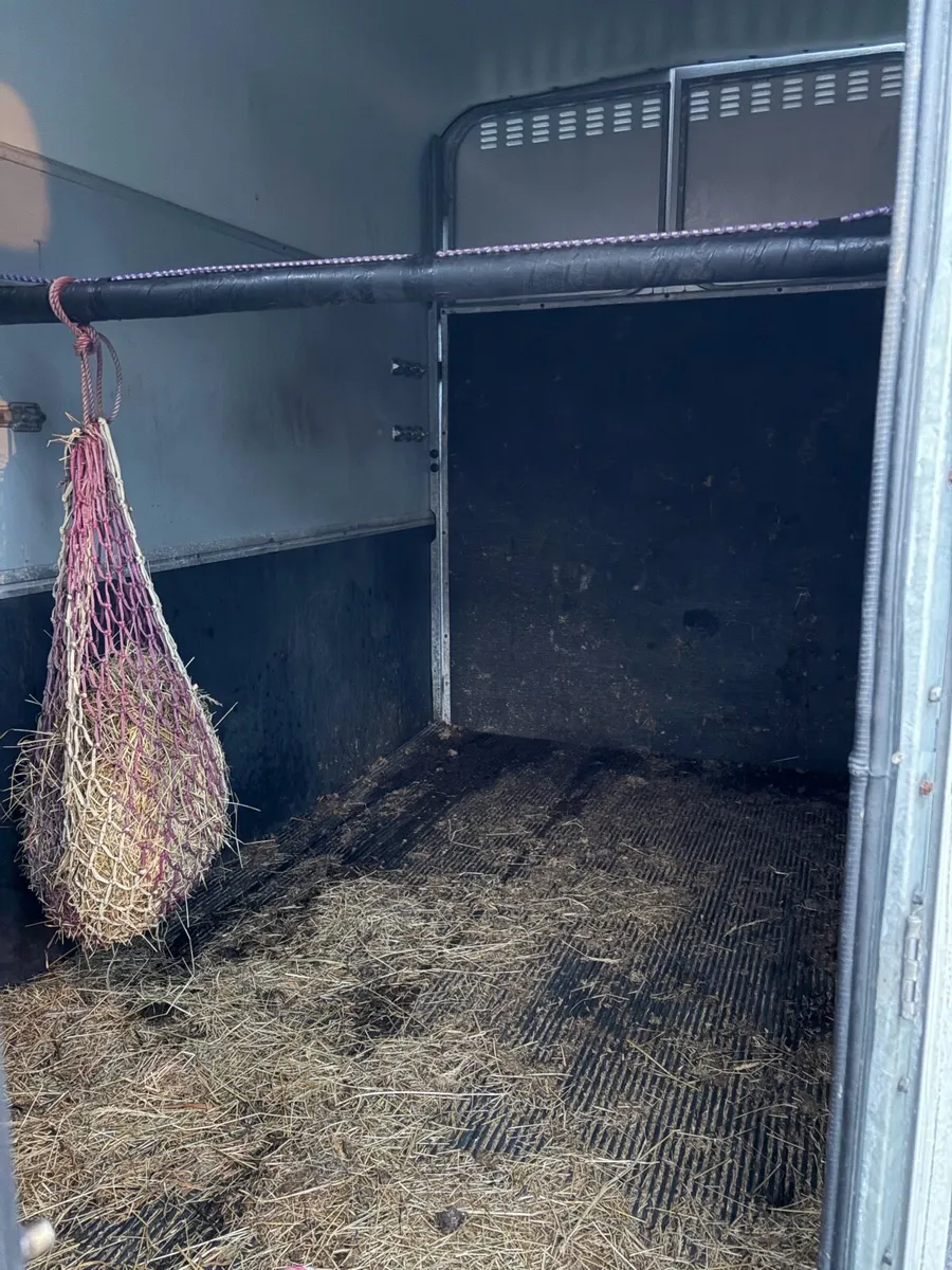 Horses box - Image 4