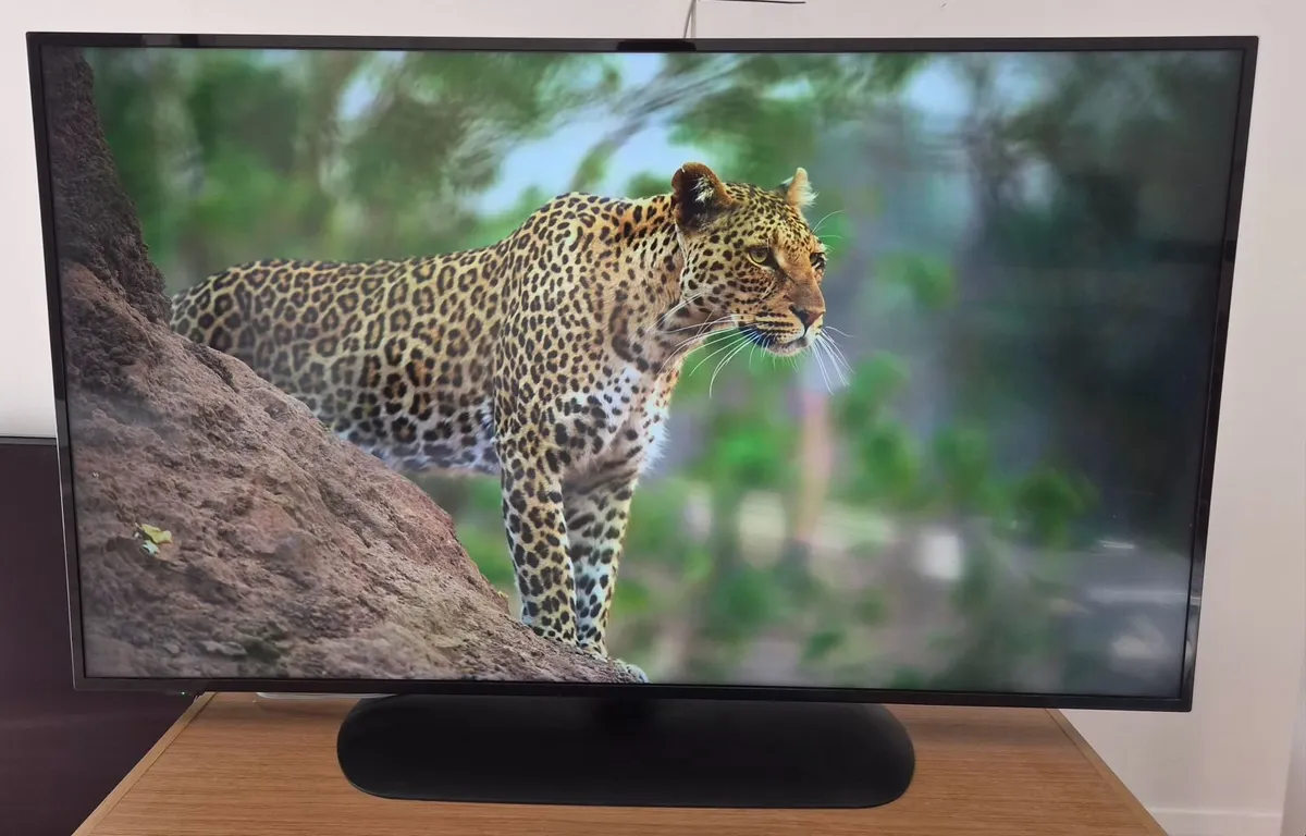 Panasonic 55" 4K Professional Display - Image 2