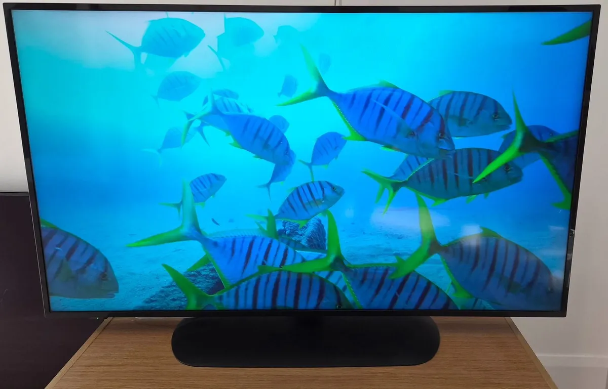 Panasonic 55" 4K Professional Display - Image 3